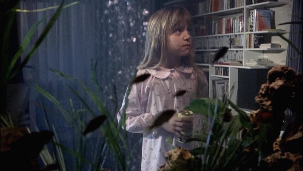 Yedinci Kıta (1989) izle