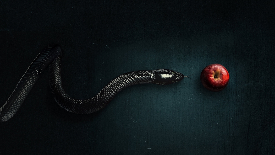 Evil 4. Sezon 12. Bölüm izle