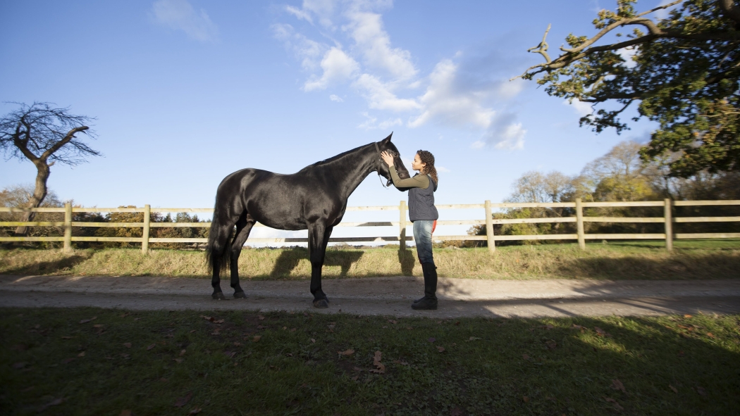 Kendini Özgür Bırak 1. Sezon 2. Bölüm izle