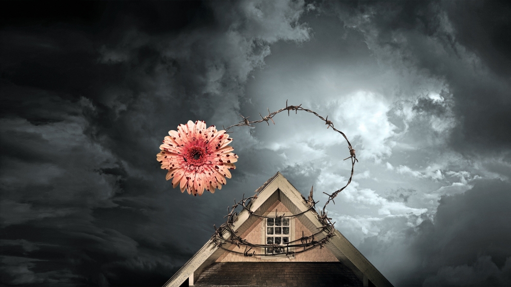 Çatıdaki Rüzgar izle