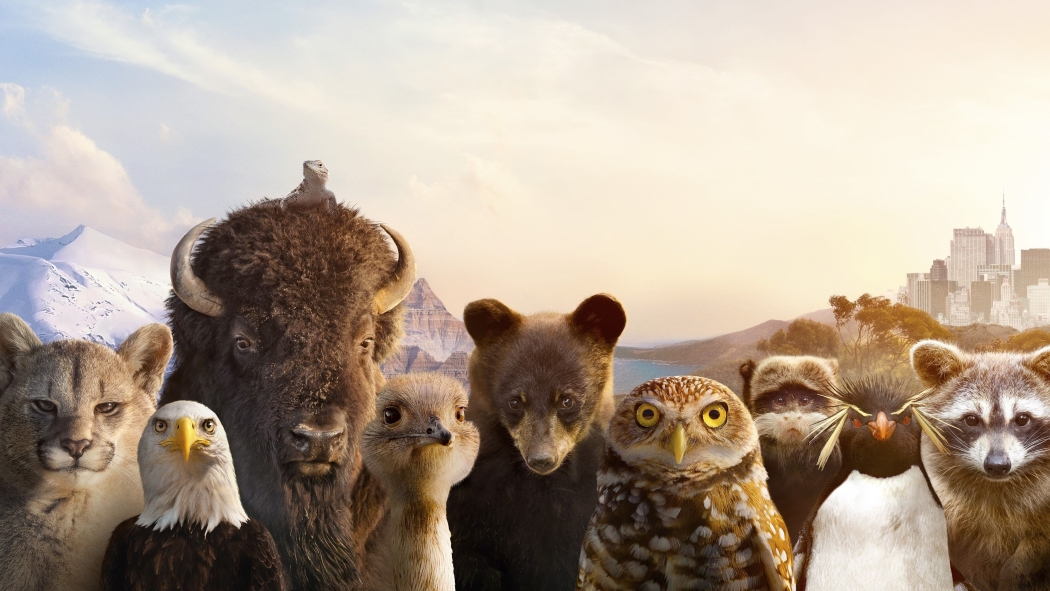 The Americas 1. Sezon 3. Bölüm izle