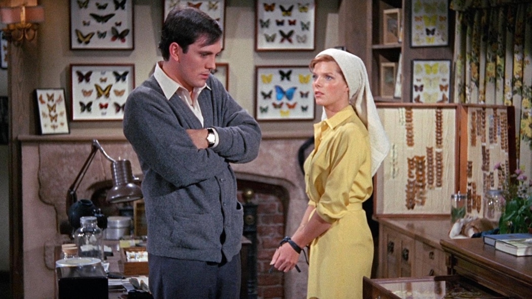 Korkunç koleksiyoncu (1965) izle